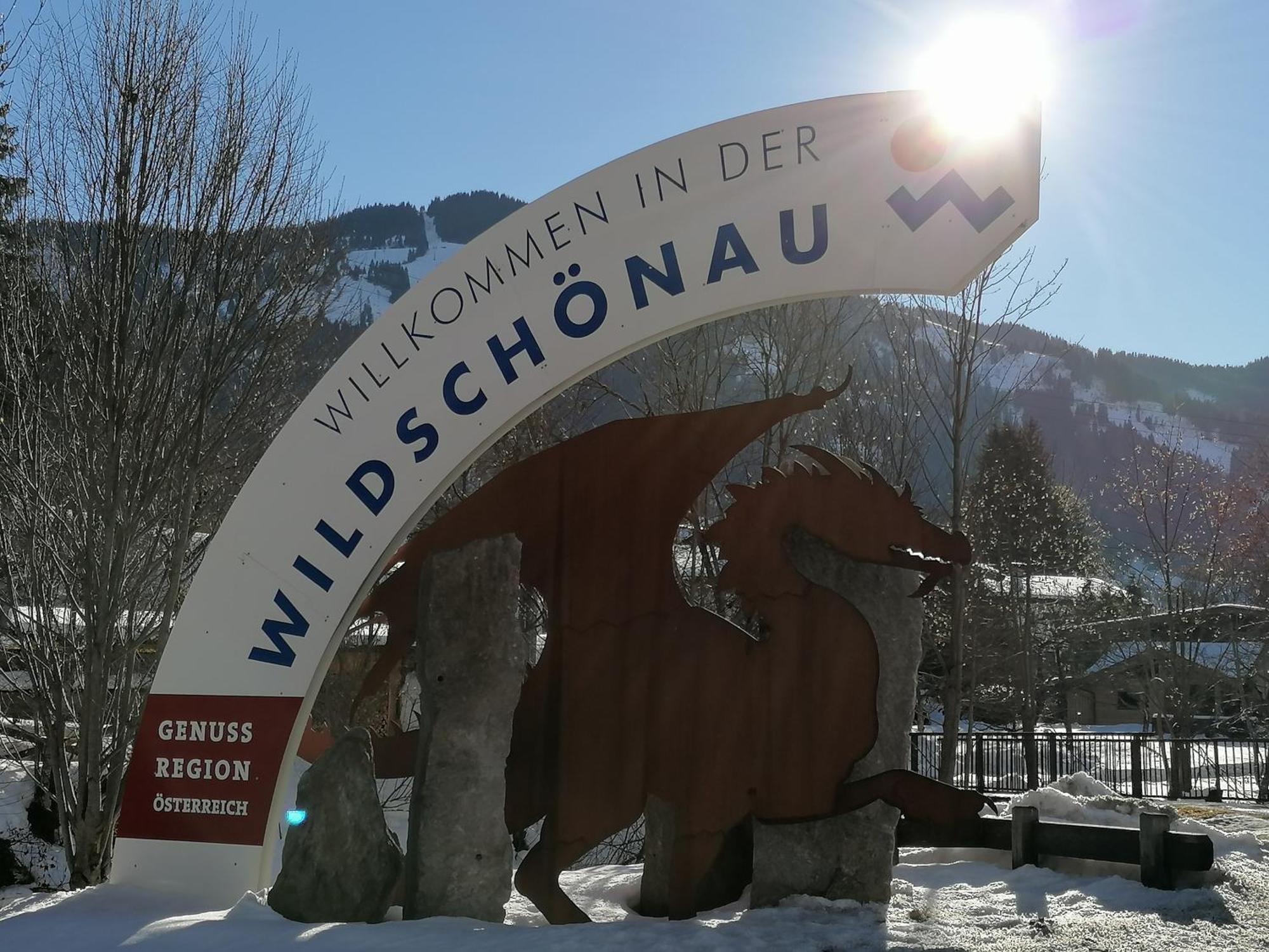 Ferienwohnung Sonnhangblick Von Fewo-Plan Wild015 Нидерау Экстерьер фото
